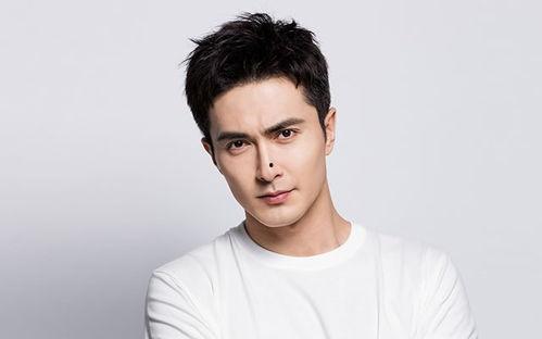 郑州姓高的明星,郑州高姓明星风采掠影