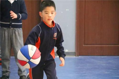 特长明星,特长明星的璀璨人生