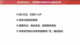 在头条里面怎么写文章,打造吸引眼球的副标题