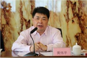 黄伟平微头条,揭秘行业动态，洞察未来趋势