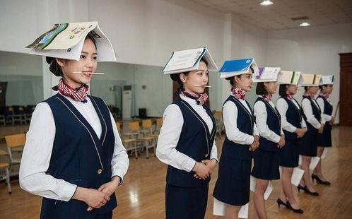 学什么专业能接触明星,揭秘专业学习与明星接触的奇妙桥梁