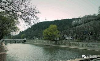 博山沿河新闻头条,聚焦沿河发展新动态，共绘美丽家园新画卷