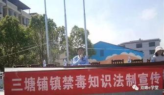 南宁三塘铺新闻头条,聚焦三塘铺发展新动态，共话乡村振兴新篇章