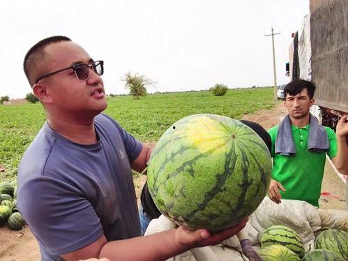 边民吃瓜,边民吃瓜的夏日时光