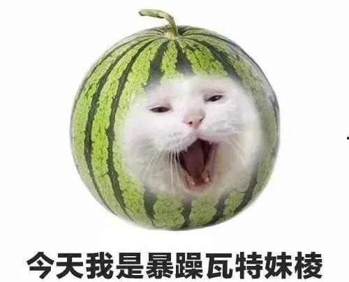 我负责吃瓜免费,带你领略无门槛美食之旅