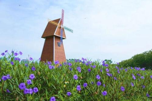 丰乐湖网红打卡点