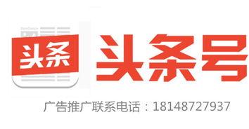 河南潞池新闻今日头条,聚焦城市发展新动态，共话区域繁荣未来