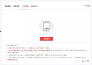 什么是头条图集封面尺寸,掌握最佳展示效果的关键