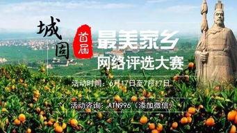 城固头条6月20号,聚焦城固最新动态，共话发展新篇章