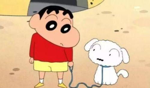 蜡笔小新训练明星狗狗