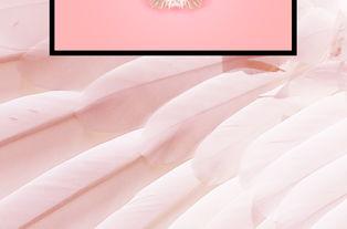 可商用网红照片,捕捉镜头下的时尚瞬间