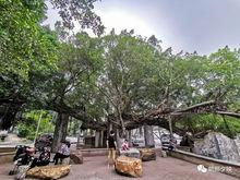 中山打卡拍照网红地,探寻这座城市的时尚印记